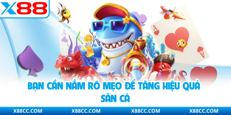 Bạn cần nắm rõ mẹo để tăng hiệu quả săn cá
