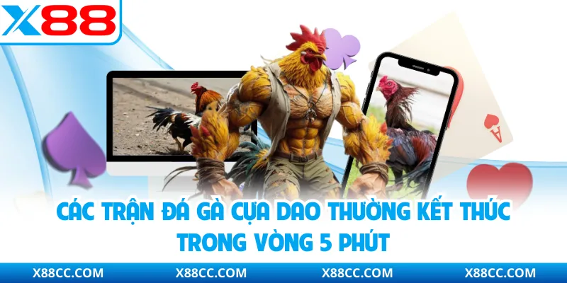 Các trận đá gà cựa dao thường kết thúc trong vòng 5 phút