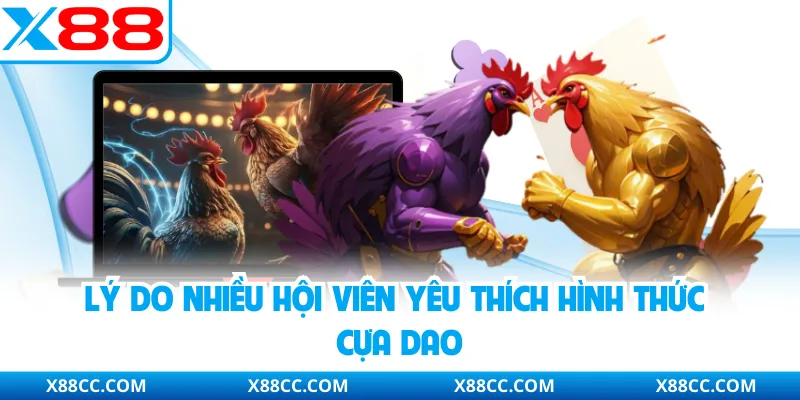 Lý do nhiều hội viên yêu thích hình thức cựa dao