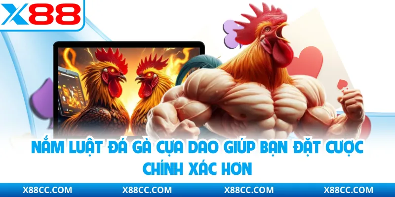 Nắm luật đá gà cựa dao giúp bạn đặt cược chính xác hơn