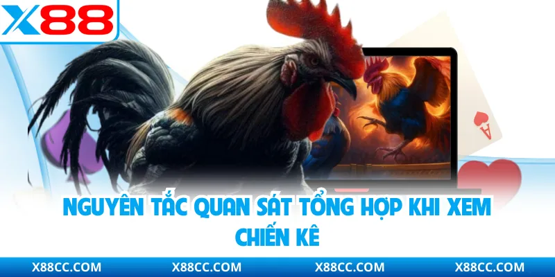 Nguyên tắc quan sát tổng hợp khi xem chiến kê
